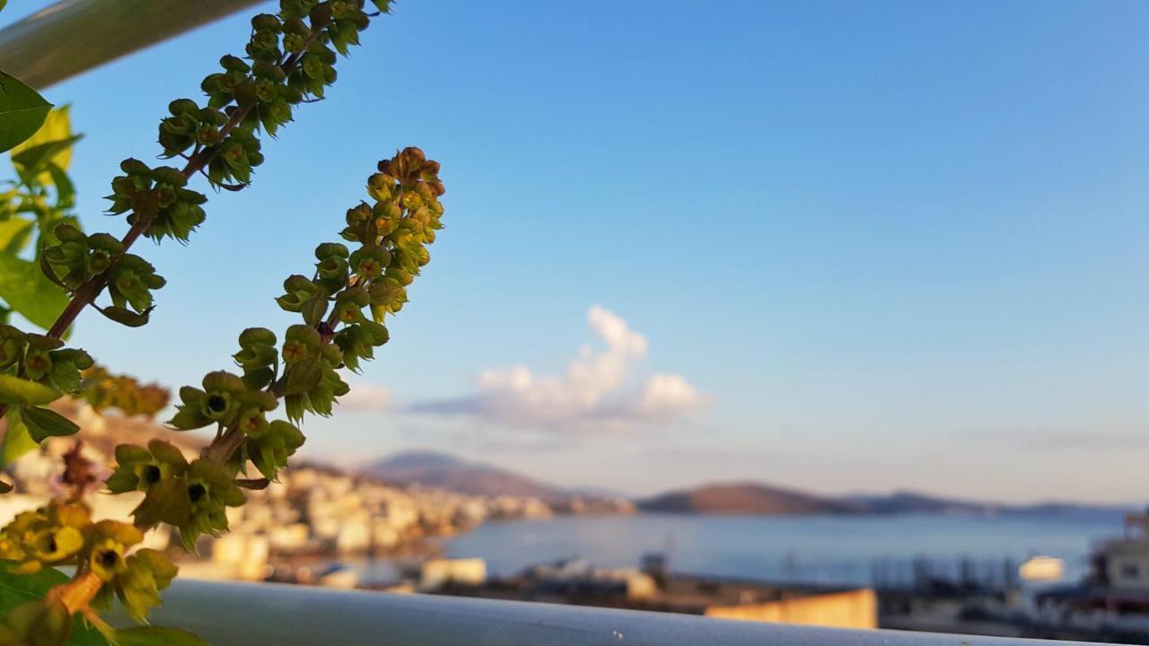 Joen Sarande