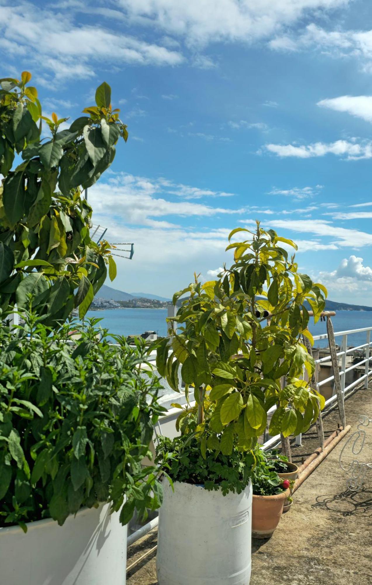 Joen Appartamento Sarandë